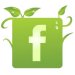 facebook-green